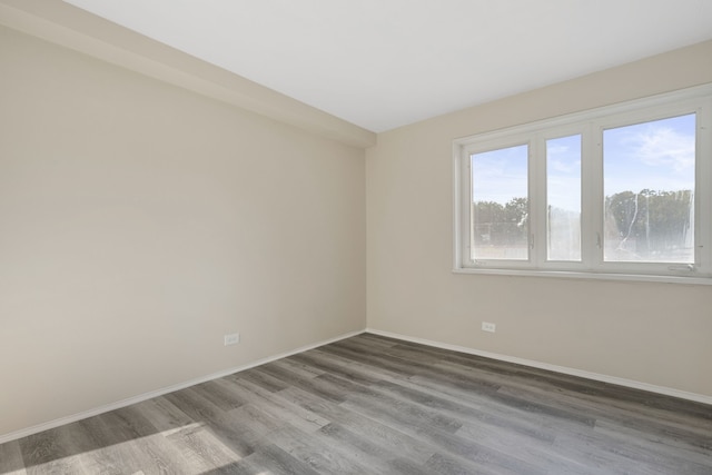 spare room featuring wood-type flooring