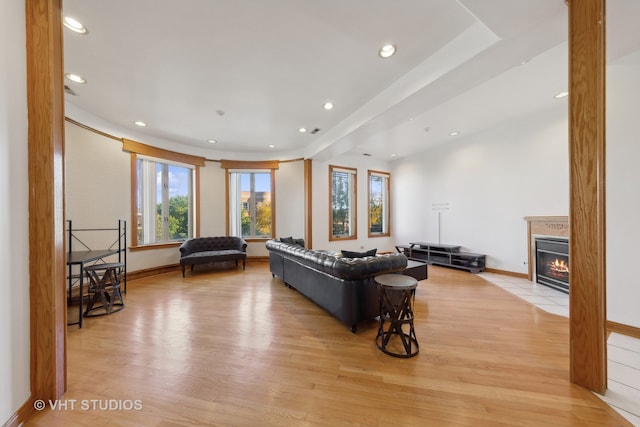 living room featuring light hardwood / wood-style floors