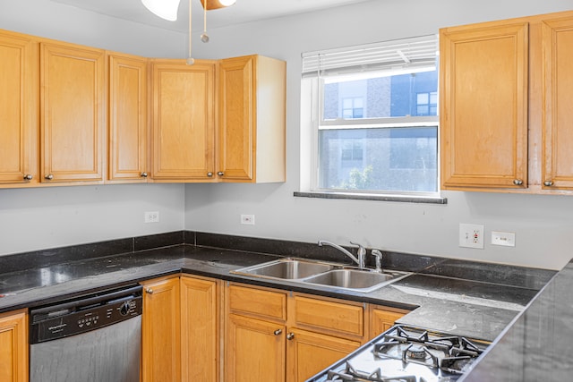 kitchen featuring stainless steel dishwasher, sink, and plenty of natural light