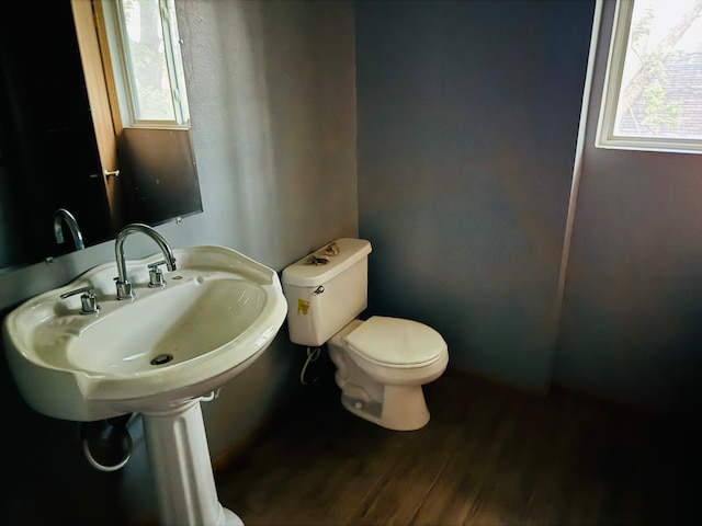 bathroom with toilet and hardwood / wood-style flooring