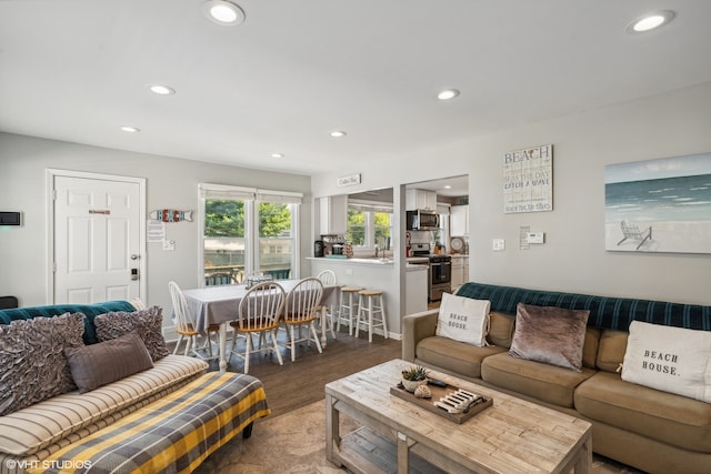 living room featuring dark hardwood / wood-style floors