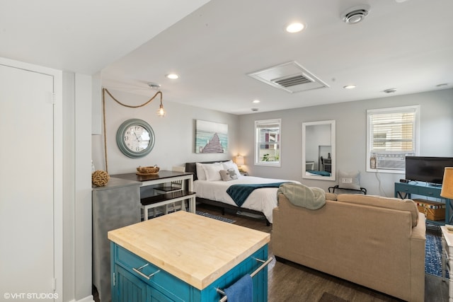 bedroom featuring multiple windows and dark hardwood / wood-style flooring