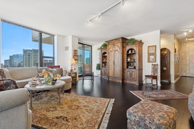 living room featuring dark wood-type flooring and rail lighting