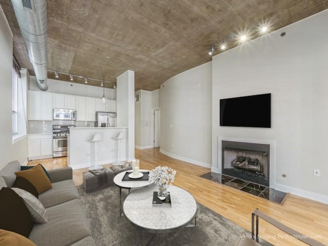 living room featuring light hardwood / wood-style flooring and rail lighting