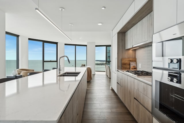 kitchen with decorative backsplash, a large island with sink, white cabinetry, dark hardwood / wood-style floors, and sink