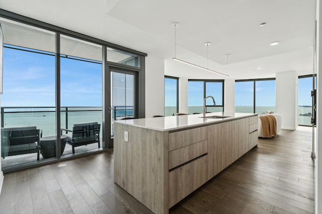 kitchen with an island with sink, dark hardwood / wood-style floors, sink, and a water view