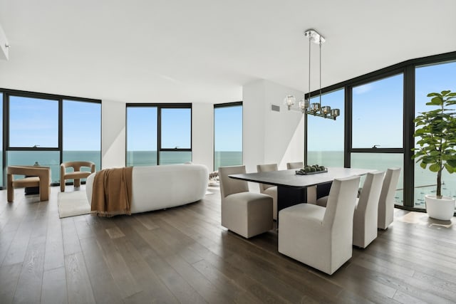 dining space with dark wood-type flooring and a water view