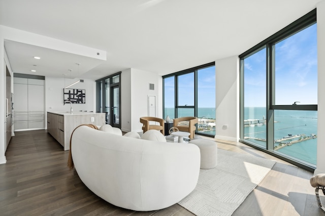 living room with a water view, a wall of windows, dark wood-type flooring, and sink