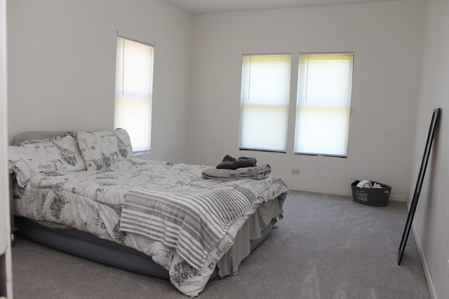 bedroom featuring carpet floors and multiple windows