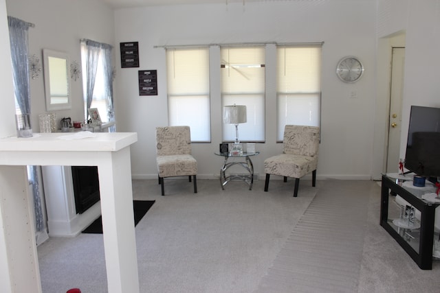 sitting room featuring light carpet