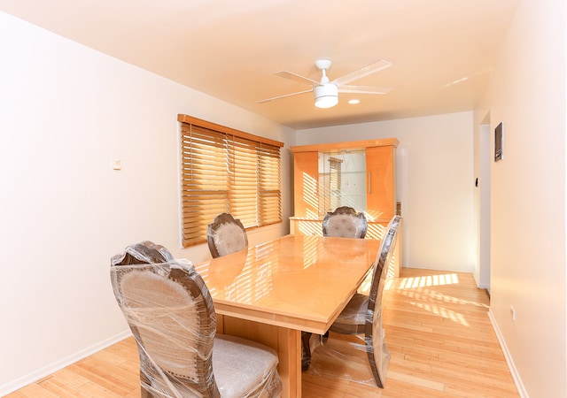 dining room featuring ceiling fan and light hardwood / wood-style flooring