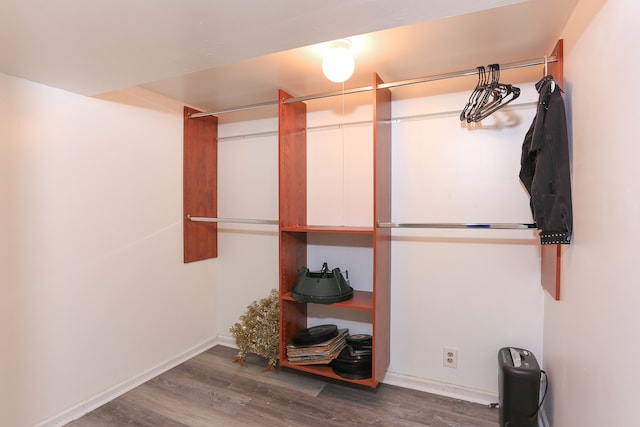 spacious closet with dark hardwood / wood-style flooring