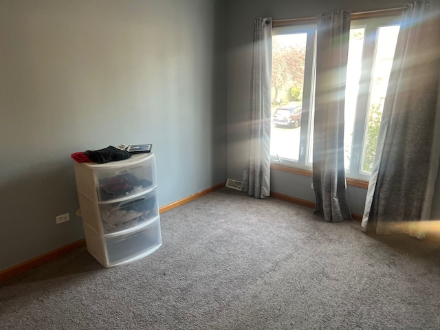 empty room with carpet and a wealth of natural light