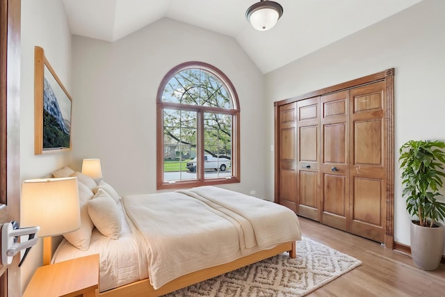 140 E Lynn St, South Elgin, IL 60177 - bedroom featuring a closet, light wood finished floors, and vaulted ceiling