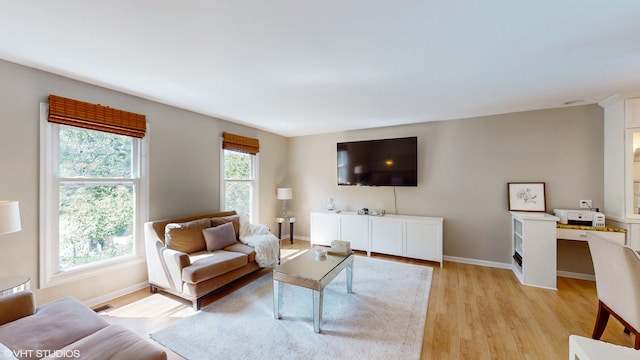 living room with light hardwood / wood-style flooring