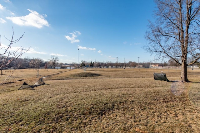 view of yard with a rural view