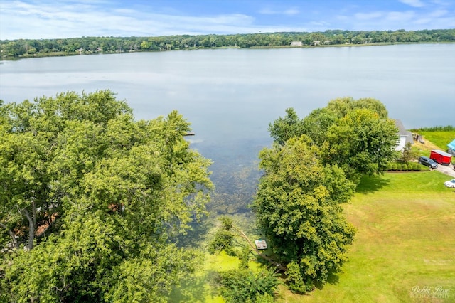 bird's eye view featuring a water view