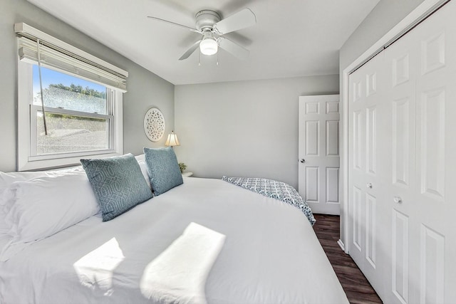 bedroom with a closet, ceiling fan, and dark hardwood / wood-style floors