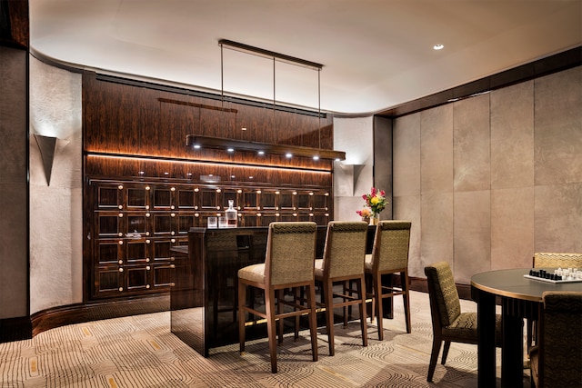 bar with light carpet and dark brown cabinetry