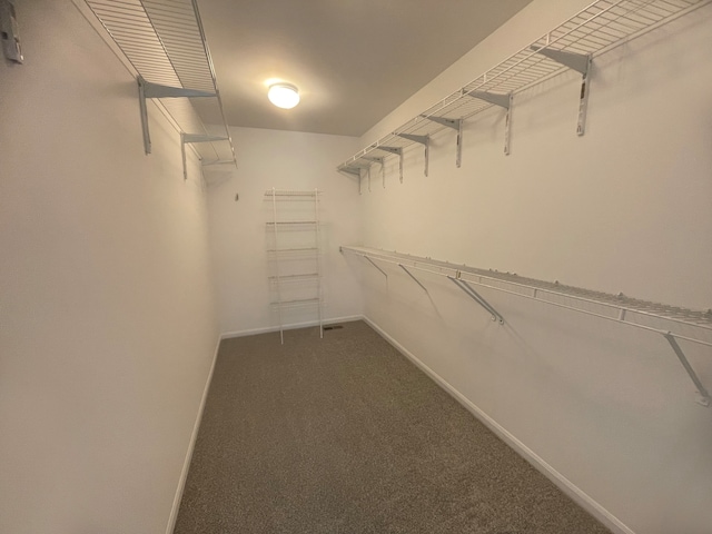 walk in closet featuring dark colored carpet