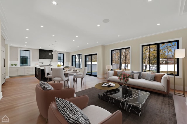 living room with crown molding, sink, and light hardwood / wood-style flooring