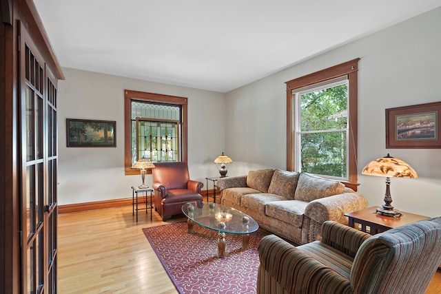 living room featuring light wood-type flooring