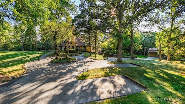 view of home's community with a lawn