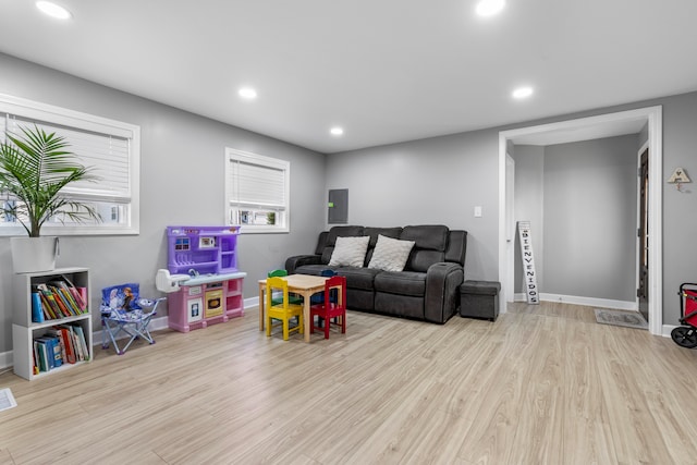 living room featuring electric panel and light hardwood / wood-style flooring