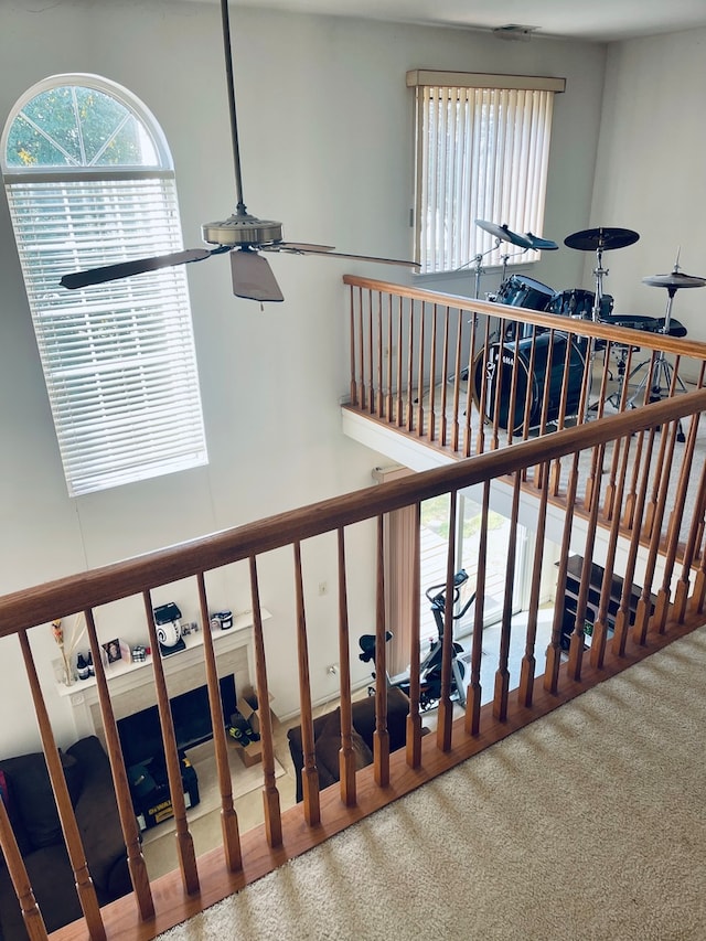 staircase with ceiling fan and carpet floors