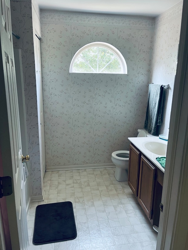 bathroom with toilet and vanity