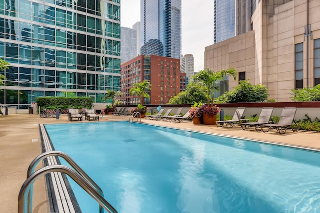 view of pool featuring a patio area