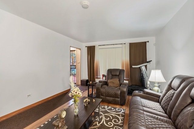 living room featuring hardwood / wood-style floors