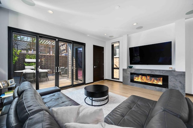 living room featuring light hardwood / wood-style flooring