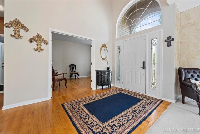 foyer with a high ceiling and hardwood / wood-style flooring