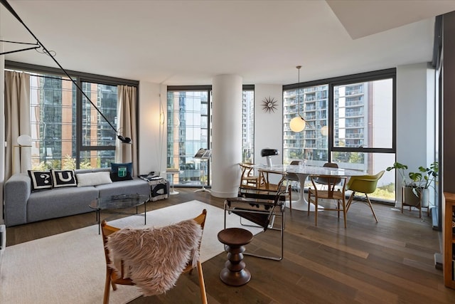 living room with a wall of windows and dark hardwood / wood-style flooring