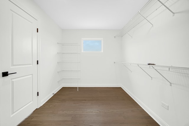 spacious closet featuring dark hardwood / wood-style flooring