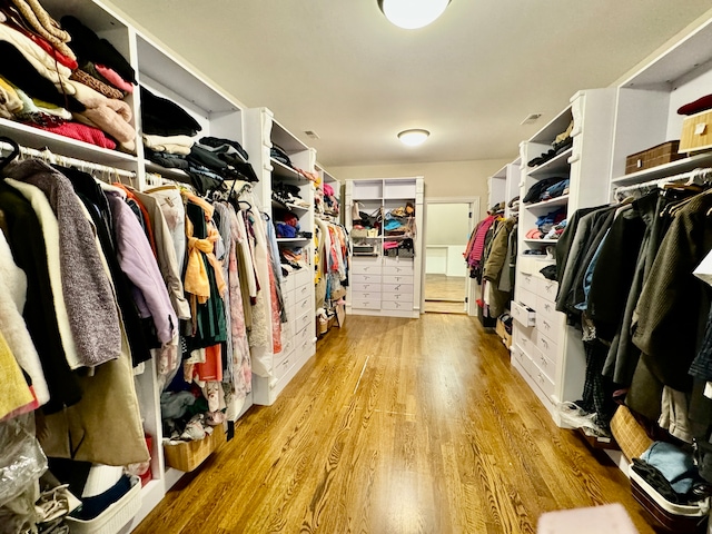 spacious closet with light wood-type flooring