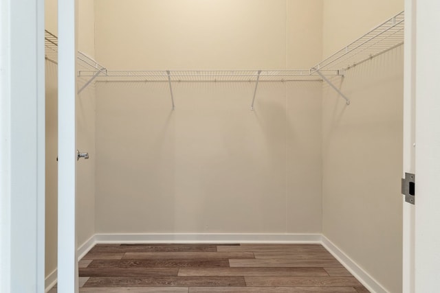 spacious closet featuring hardwood / wood-style flooring