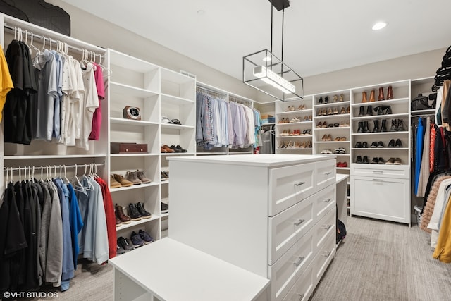 view of walk in closet