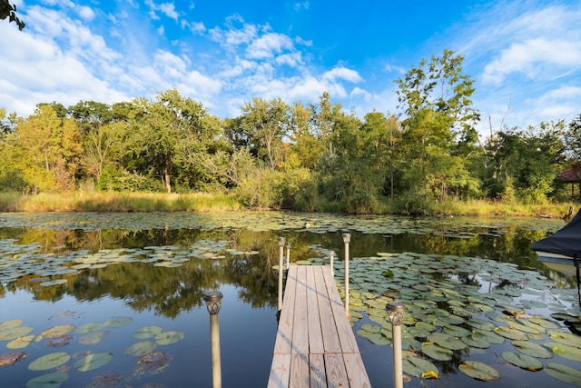 dock area featuring a water view