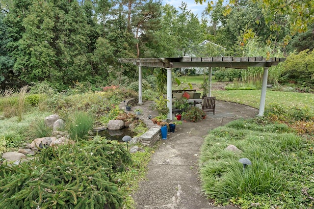 view of yard featuring a patio