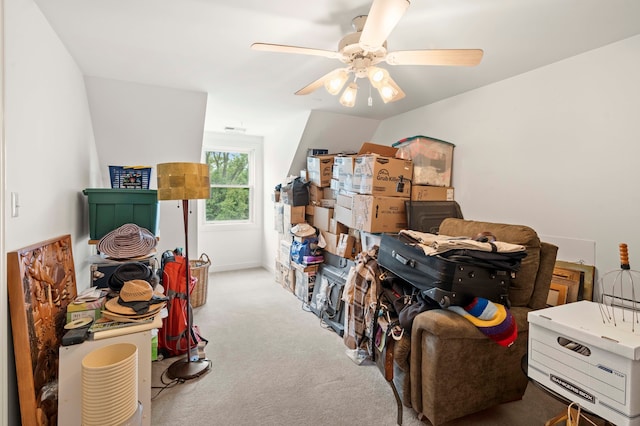 storage with ceiling fan