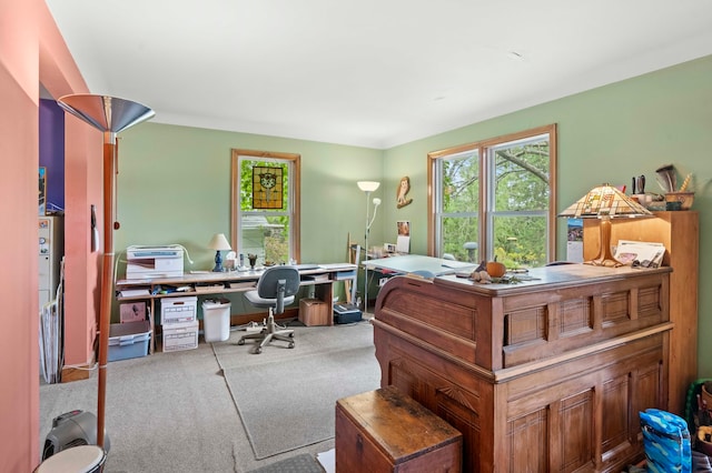 view of carpeted home office