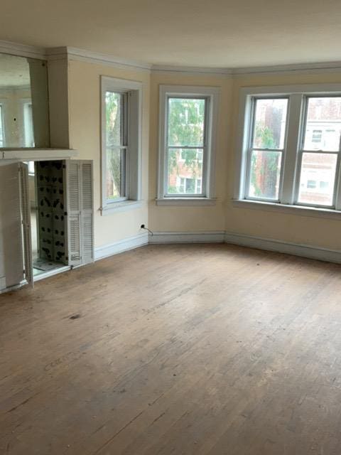 unfurnished living room featuring wood-type flooring