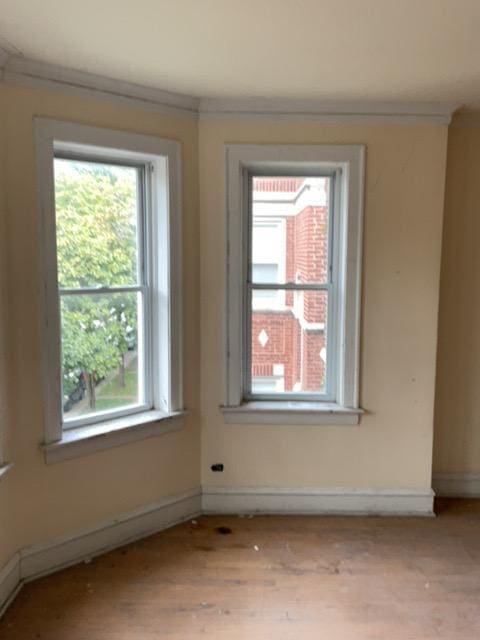 unfurnished room with a healthy amount of sunlight and light wood-type flooring