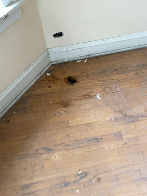 interior details featuring wood-type flooring