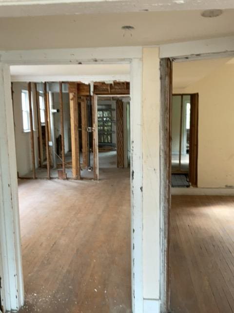 interior space with hardwood / wood-style floors and a healthy amount of sunlight