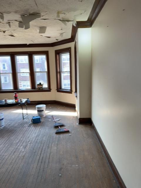 interior space featuring hardwood / wood-style floors