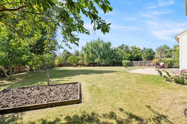 view of yard with a patio