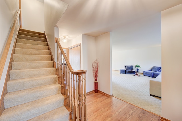 stairway with hardwood / wood-style floors